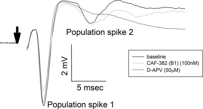 https://cdn.ncbi.nlm.nih.gov/pmc/blobs/e986/10406435/d0789cc013da/elife-88206-fig9.jpg