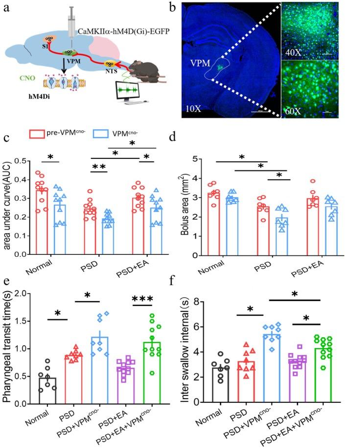 https://cdn.ncbi.nlm.nih.gov/pmc/blobs/e986/12289536/0b3c0bbc73a3/CNS-31-e70514-g006.jpg