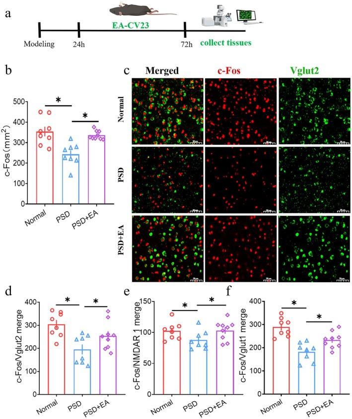 https://cdn.ncbi.nlm.nih.gov/pmc/blobs/e986/12289536/f3f2f4005285/CNS-31-e70514-g003.jpg