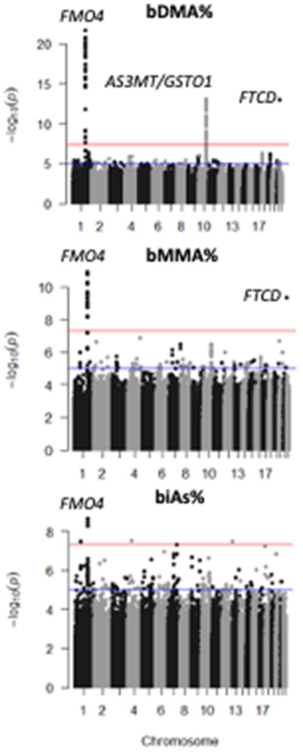 https://cdn.ncbi.nlm.nih.gov/pmc/blobs/e98b/12404487/1483dcee11eb/pgen.1011826.g004.jpg