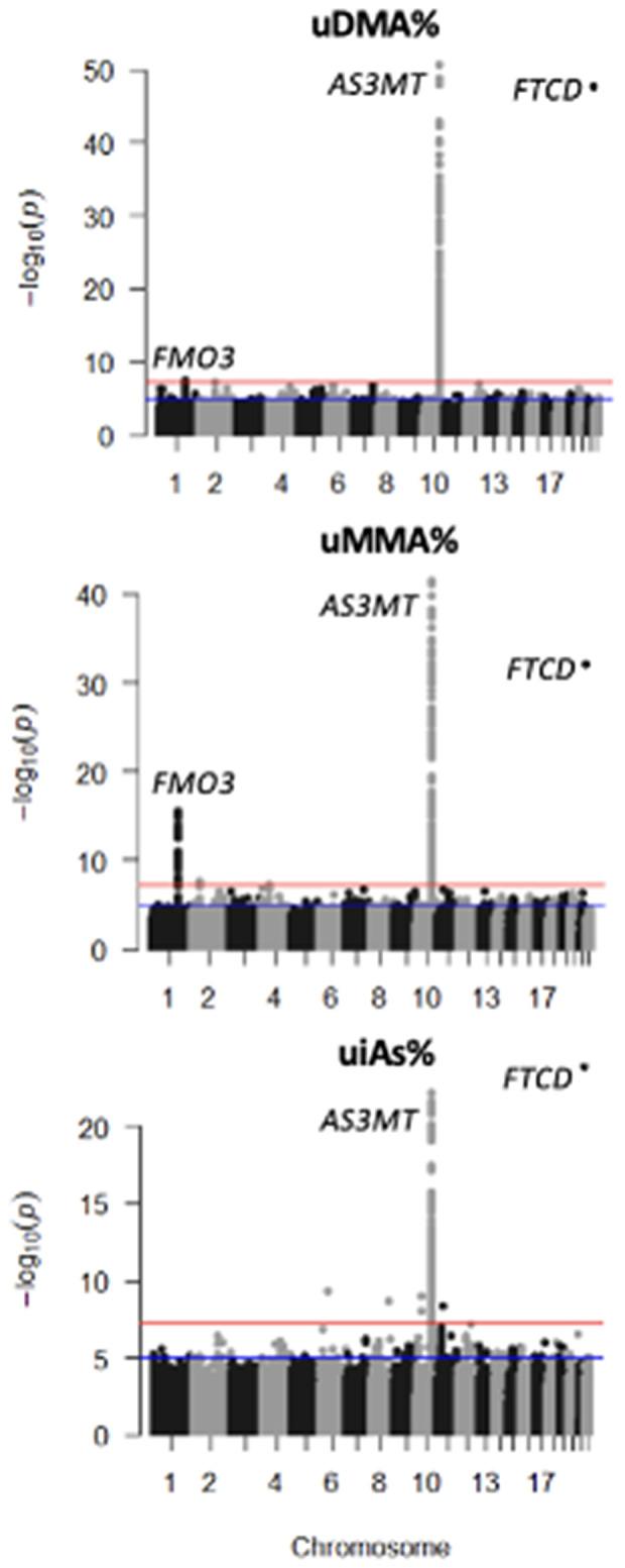 https://cdn.ncbi.nlm.nih.gov/pmc/blobs/e98b/12404487/3f3c3241990a/pgen.1011826.g001.jpg