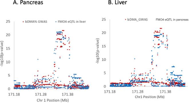 https://cdn.ncbi.nlm.nih.gov/pmc/blobs/e98b/12404487/cb8919b4ca8f/pgen.1011826.g007.jpg