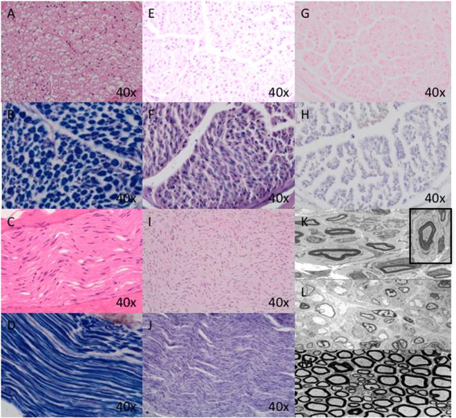 https://cdn.ncbi.nlm.nih.gov/pmc/blobs/e98b/5974240/b899fb198dd2/41431_2018_110_Fig1_HTML.jpg