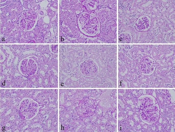 https://cdn.ncbi.nlm.nih.gov/pmc/blobs/e98e/10905149/7653319d7511/f1000research-11-158419-g0002.jpg