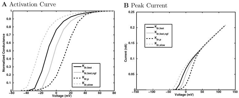 https://cdn.ncbi.nlm.nih.gov/pmc/blobs/e98f/5313080/422a487b2336/elife-18566-app1-fig25.jpg