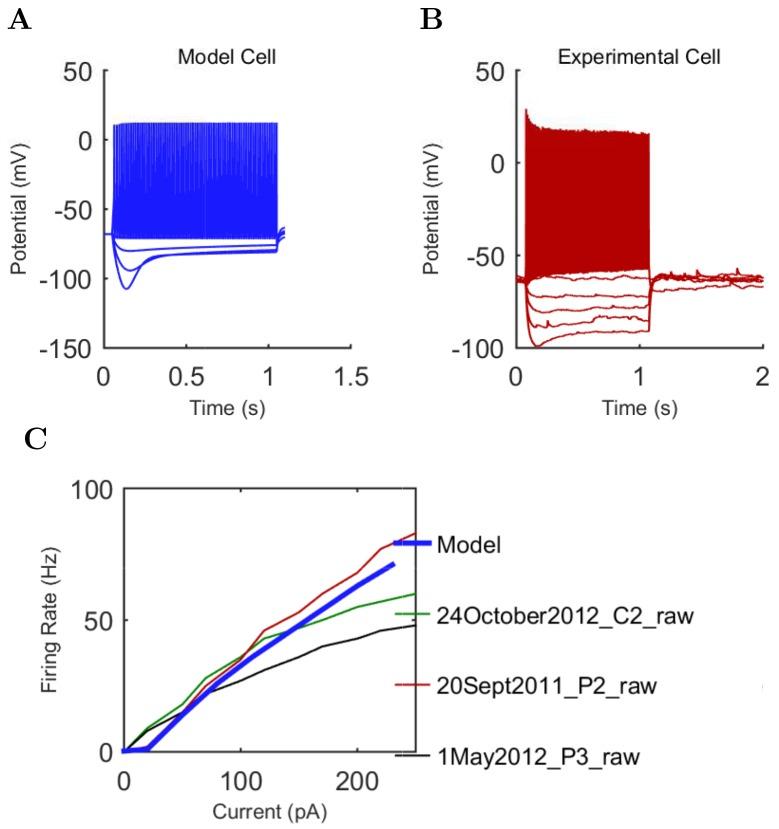 https://cdn.ncbi.nlm.nih.gov/pmc/blobs/e98f/5313080/48f4a157109f/elife-18566-app1-fig17.jpg