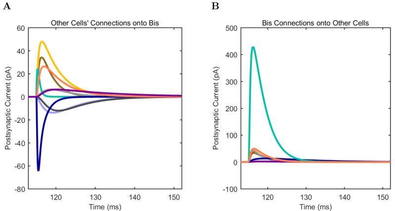 https://cdn.ncbi.nlm.nih.gov/pmc/blobs/e98f/5313080/e40e0dab5a11/elife-18566-app1-fig10.jpg