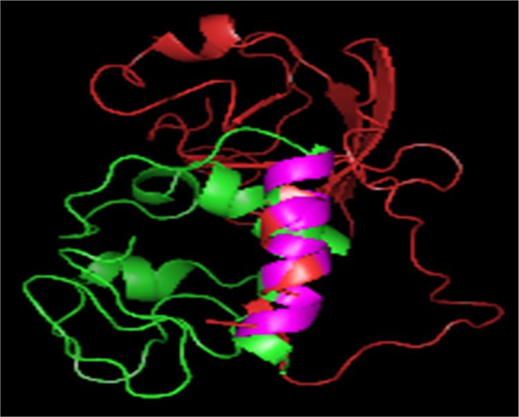 https://cdn.ncbi.nlm.nih.gov/pmc/blobs/e991/10785289/11fa05e4c821/ao3c07431_0006.jpg