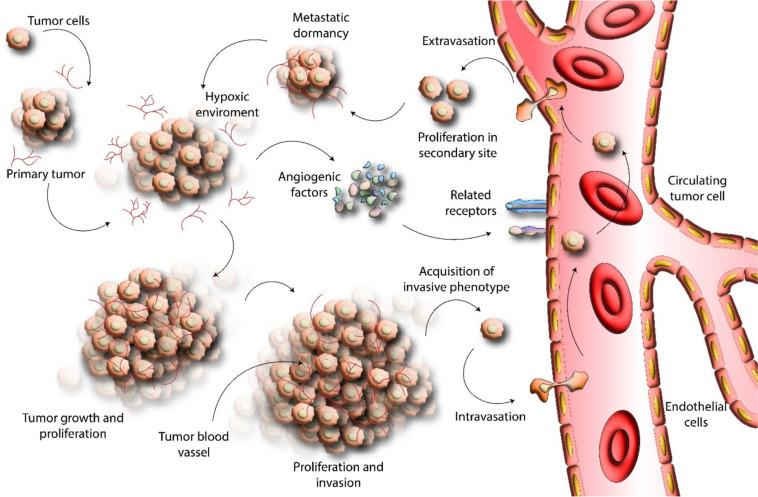 https://cdn.ncbi.nlm.nih.gov/pmc/blobs/e992/12087080/4265ded4a992/40001_2025_2618_Fig1_HTML.jpg