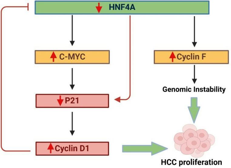 https://cdn.ncbi.nlm.nih.gov/pmc/blobs/e992/12238214/b24459d04071/13402_2025_1064_Fig5_HTML.jpg