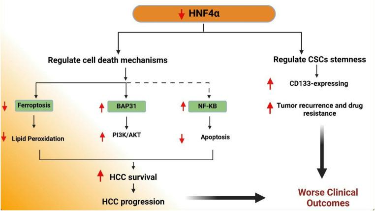 https://cdn.ncbi.nlm.nih.gov/pmc/blobs/e992/12238214/f697428c5bd8/13402_2025_1064_Fig4_HTML.jpg