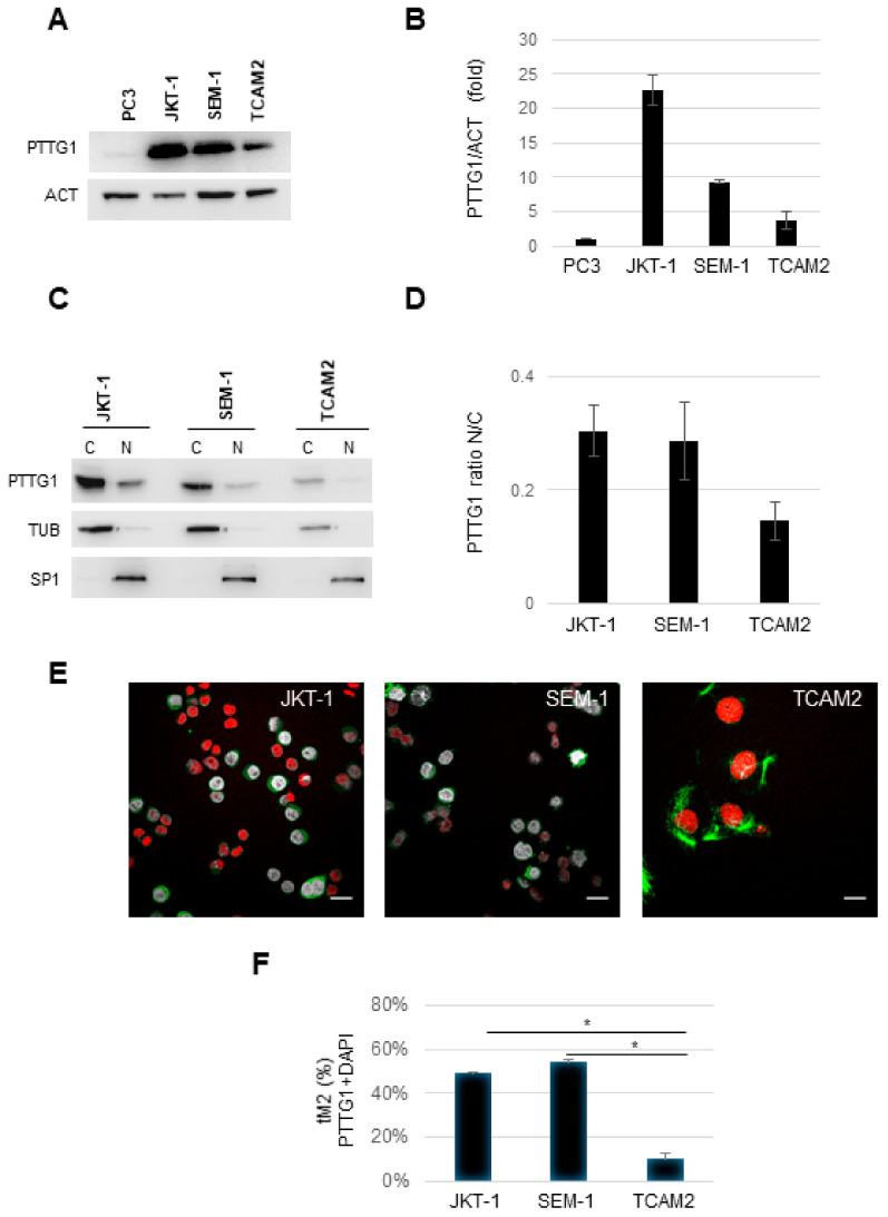 https://cdn.ncbi.nlm.nih.gov/pmc/blobs/e993/7826632/1b202a446f59/cancers-13-00212-g001.jpg