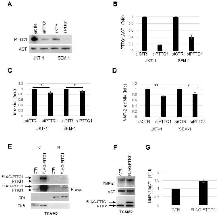 https://cdn.ncbi.nlm.nih.gov/pmc/blobs/e993/7826632/4f2f4e977e99/cancers-13-00212-g003.jpg