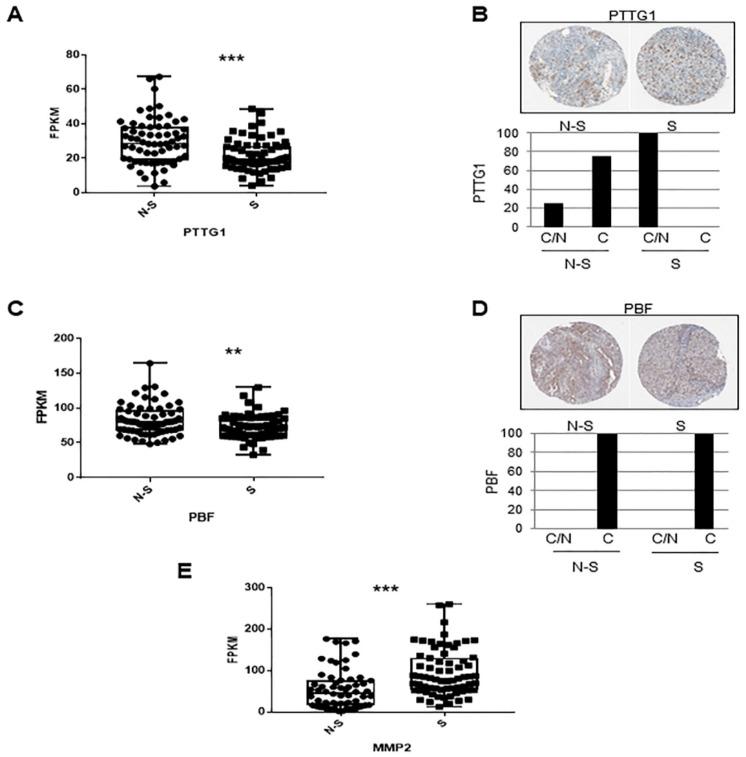 https://cdn.ncbi.nlm.nih.gov/pmc/blobs/e993/7826632/9b1a0632810b/cancers-13-00212-g005.jpg