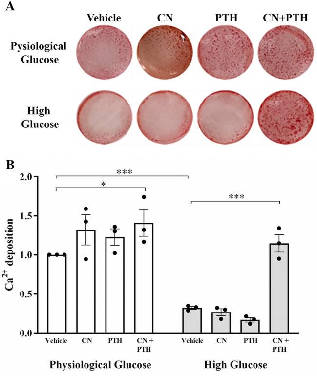 https://cdn.ncbi.nlm.nih.gov/pmc/blobs/e995/10025212/a995aed47a8e/223_2023_1062_Fig4_HTML.jpg