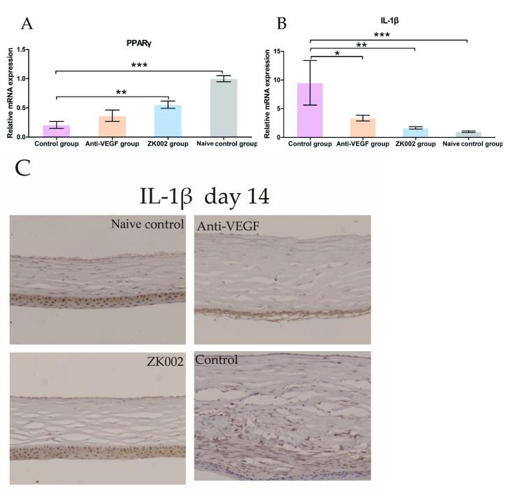 https://cdn.ncbi.nlm.nih.gov/pmc/blobs/e996/10805332/4310fef9b207/mv-v29-317-f4.jpg