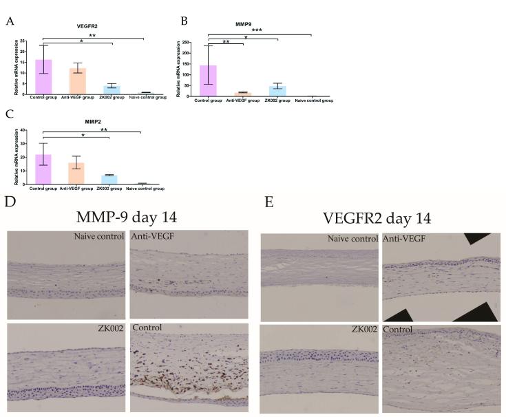 https://cdn.ncbi.nlm.nih.gov/pmc/blobs/e996/10805332/ff4c8a1055a8/mv-v29-317-f3.jpg