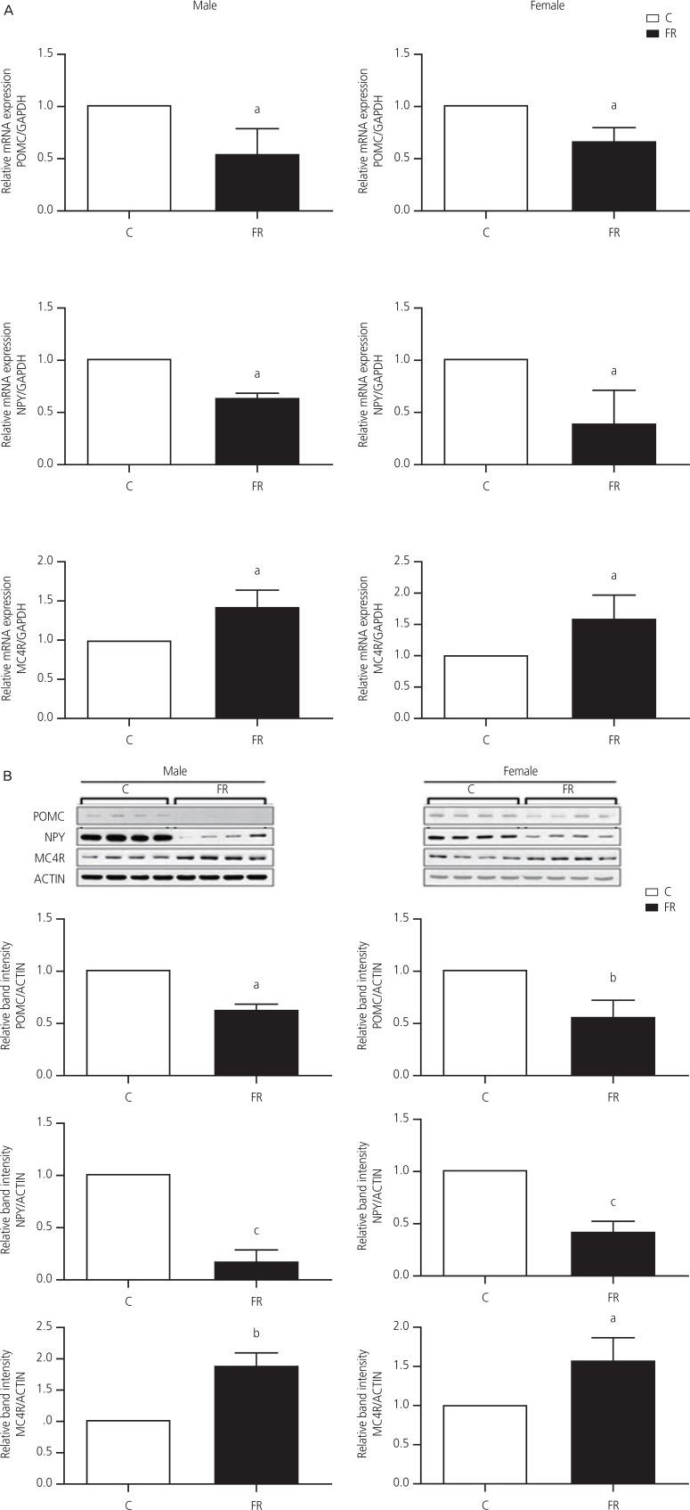 https://cdn.ncbi.nlm.nih.gov/pmc/blobs/e997/7231940/3dca31680270/ogs-63-239-g002.jpg