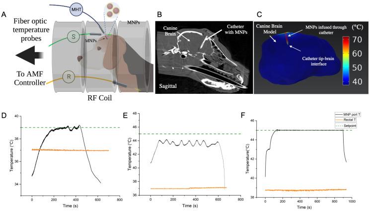 https://cdn.ncbi.nlm.nih.gov/pmc/blobs/e999/9856953/c1111d45a6d2/cancers-15-00327-g004.jpg