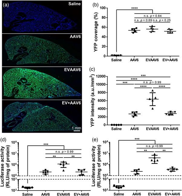 https://cdn.ncbi.nlm.nih.gov/pmc/blobs/e99a/10241173/886cd4469925/JEV2-12-12324-g004.jpg