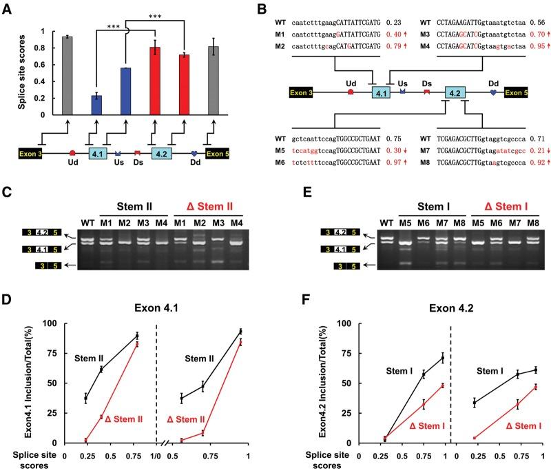 https://cdn.ncbi.nlm.nih.gov/pmc/blobs/e99a/4691838/60f3e61ff0f5/96F05.jpg