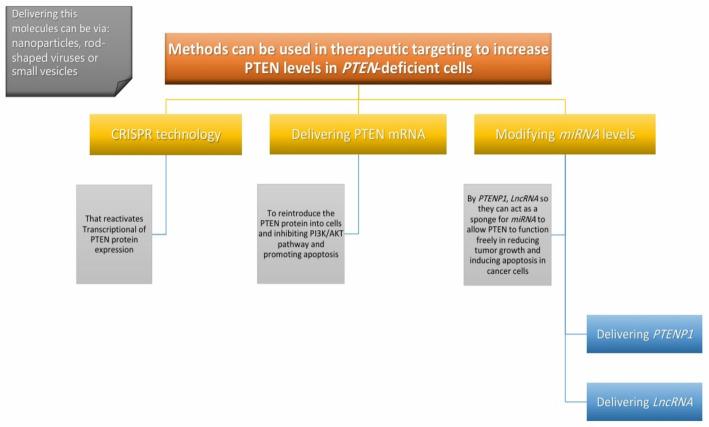 https://cdn.ncbi.nlm.nih.gov/pmc/blobs/e99c/12394115/298ed6f4b568/12672_2025_3465_Fig8_HTML.jpg