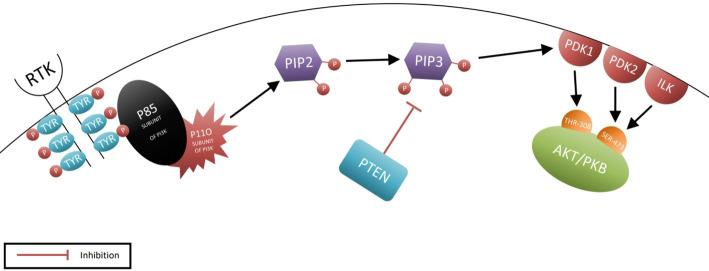 https://cdn.ncbi.nlm.nih.gov/pmc/blobs/e99c/12394115/39ca6909daa3/12672_2025_3465_Fig2_HTML.jpg