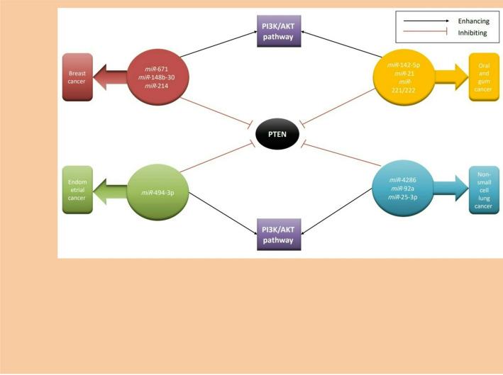 https://cdn.ncbi.nlm.nih.gov/pmc/blobs/e99c/12394115/857a1b260d08/12672_2025_3465_Fig5_HTML.jpg