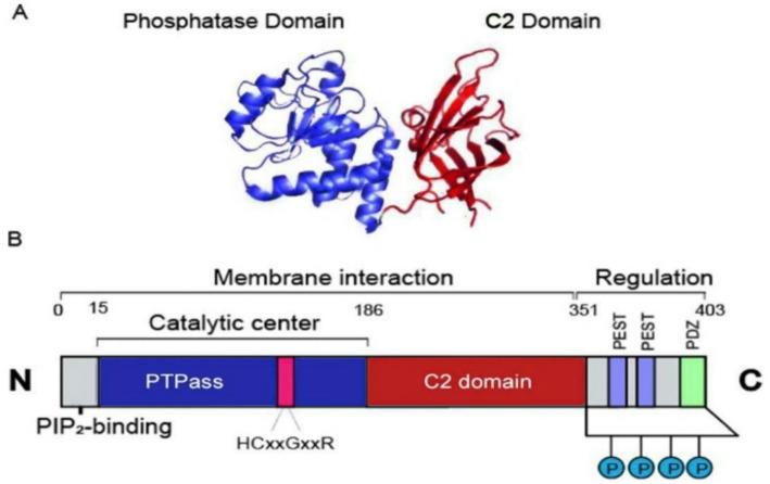 https://cdn.ncbi.nlm.nih.gov/pmc/blobs/e99c/12394115/9be93cbfd992/12672_2025_3465_Fig1_HTML.jpg