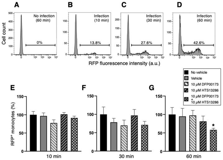 https://cdn.ncbi.nlm.nih.gov/pmc/blobs/e99e/12191162/2d5d4902b0bd/cells-14-00880-g007.jpg