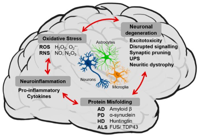 https://cdn.ncbi.nlm.nih.gov/pmc/blobs/e9a0/8464690/28baf1a7c8db/nutrients-13-02940-g003.jpg