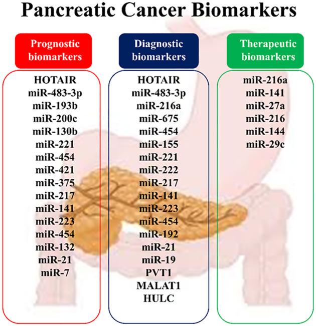 https://cdn.ncbi.nlm.nih.gov/pmc/blobs/e9a1/10978783/e3be024aa5c4/fonc-14-1355064-g005.jpg