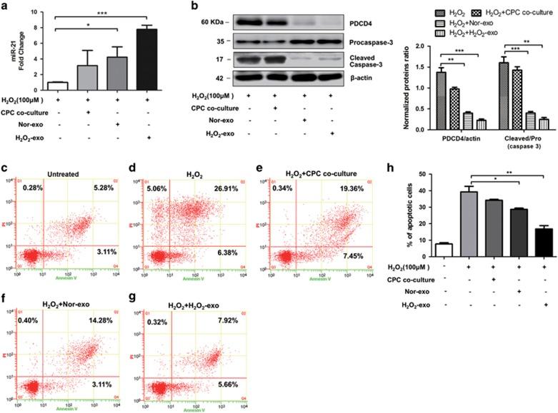 https://cdn.ncbi.nlm.nih.gov/pmc/blobs/e9a3/5143405/867a5f8a3676/cddis2016181f5.jpg