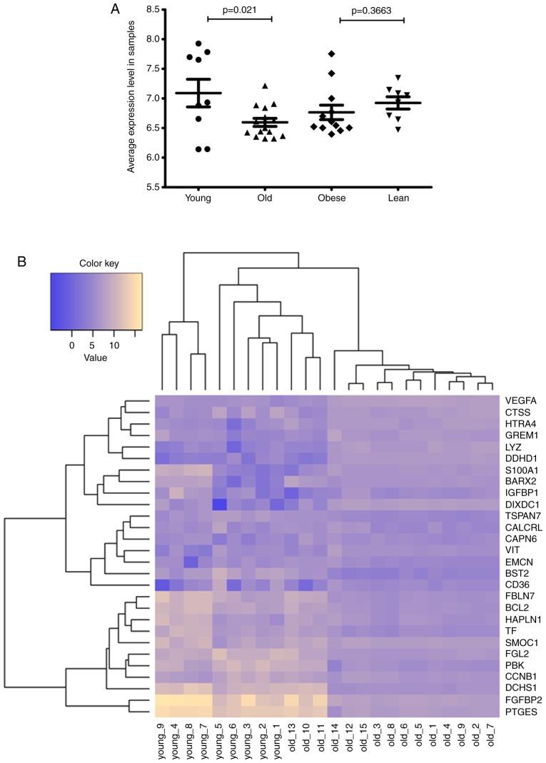 https://cdn.ncbi.nlm.nih.gov/pmc/blobs/e9a3/6297773/6c9ed59b58e2/MMR-19-01-0093-g01.jpg