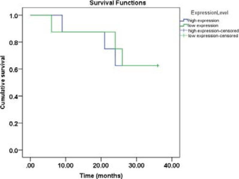 https://cdn.ncbi.nlm.nih.gov/pmc/blobs/e9a4/10782349/9700738557db/AFHS2302-0265Fig5.jpg