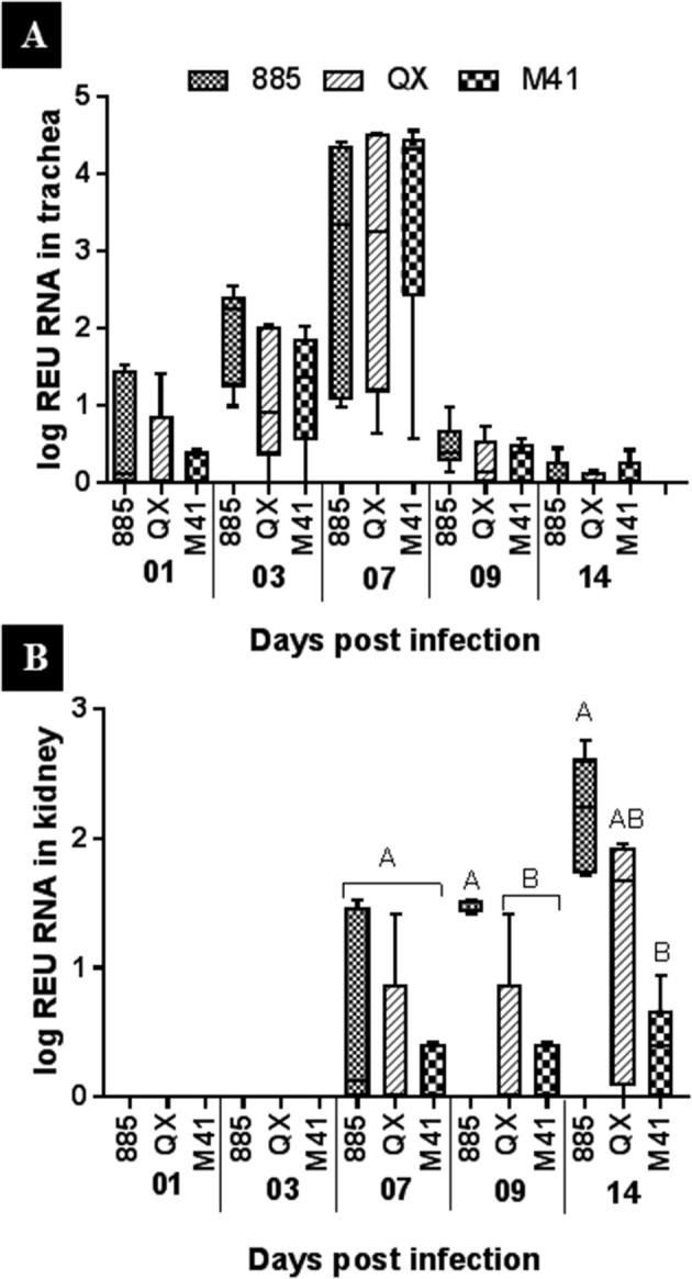 https://cdn.ncbi.nlm.nih.gov/pmc/blobs/e9a5/7173069/49ad4995086e/gr3_lrg.jpg