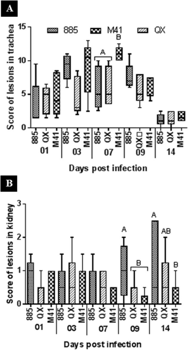 https://cdn.ncbi.nlm.nih.gov/pmc/blobs/e9a5/7173069/cc8ba01fab49/gr2_lrg.jpg