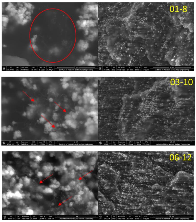 https://cdn.ncbi.nlm.nih.gov/pmc/blobs/e9a5/9921677/a294555b0c3a/polymers-15-00515-g001.jpg