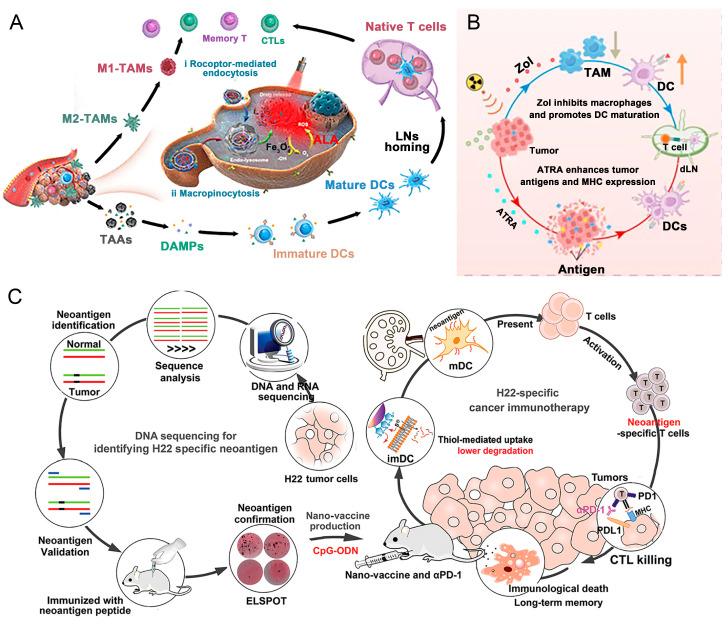 https://cdn.ncbi.nlm.nih.gov/pmc/blobs/e9a6/11767563/30ae3ece7ef7/nanomaterials-15-00122-g005.jpg