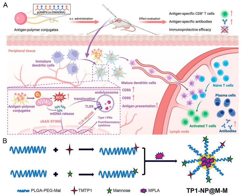 https://cdn.ncbi.nlm.nih.gov/pmc/blobs/e9a6/11767563/dc40b102ffa3/nanomaterials-15-00122-g003.jpg