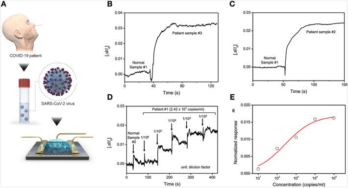 https://cdn.ncbi.nlm.nih.gov/pmc/blobs/e9a6/7492839/c5a33bf0cd23/gr7_lrg.jpg