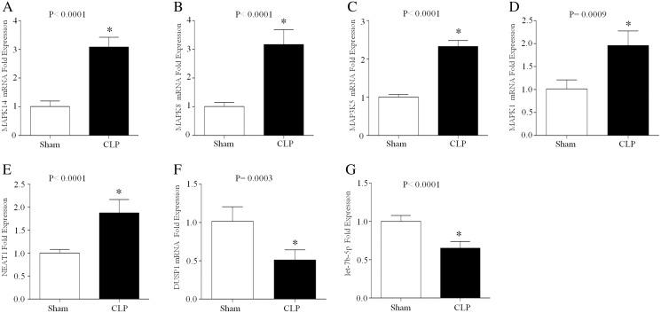 https://cdn.ncbi.nlm.nih.gov/pmc/blobs/e9a6/9480065/8038bb5a88ab/peerj-10-13983-g007.jpg