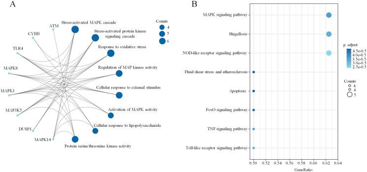 https://cdn.ncbi.nlm.nih.gov/pmc/blobs/e9a6/9480065/932dc3e5cb6c/peerj-10-13983-g005.jpg