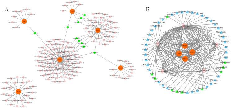 https://cdn.ncbi.nlm.nih.gov/pmc/blobs/e9a6/9480065/cf6200b864b6/peerj-10-13983-g006.jpg
