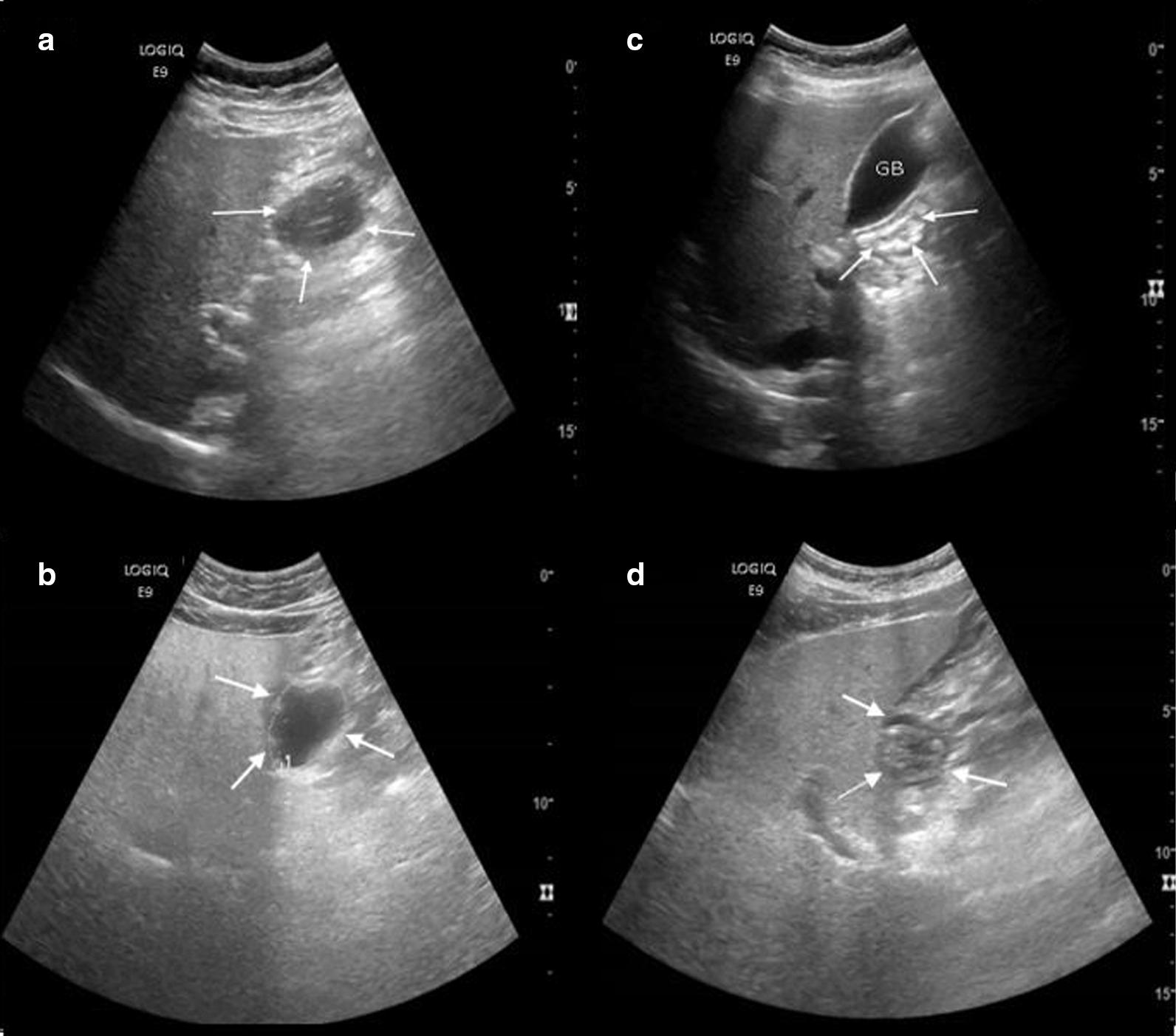 https://cdn.ncbi.nlm.nih.gov/pmc/blobs/e9a7/7980610/279b597301da/12876_2021_1712_Fig2_HTML.jpg
