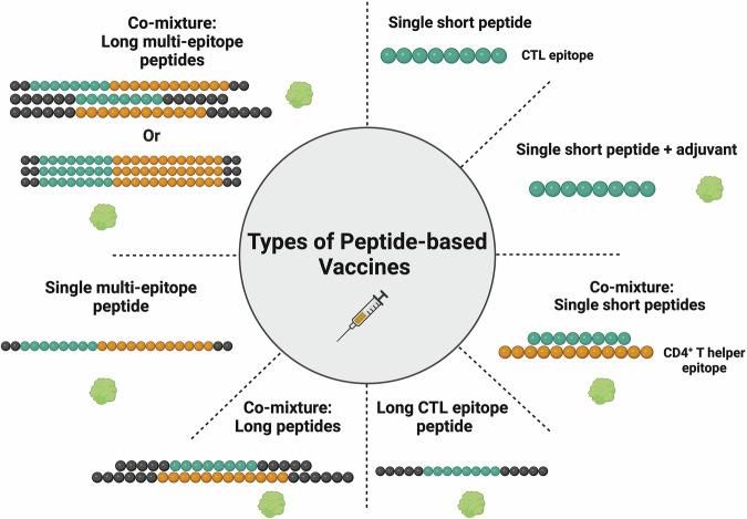 https://cdn.ncbi.nlm.nih.gov/pmc/blobs/e9aa/11982186/10e0b51b35d5/41541_2025_1118_Fig7_HTML.jpg