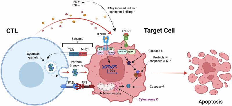 https://cdn.ncbi.nlm.nih.gov/pmc/blobs/e9aa/11982186/839c3263fd26/41541_2025_1118_Fig3_HTML.jpg