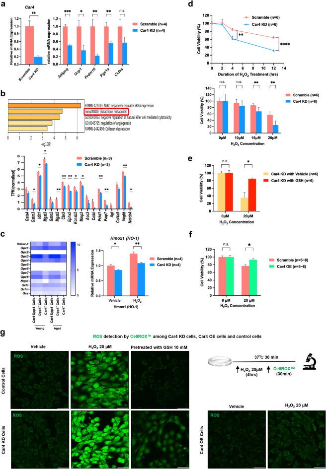 https://cdn.ncbi.nlm.nih.gov/pmc/blobs/e9ab/12397281/29cf863dbc42/41598_2025_17231_Fig4_HTML.jpg