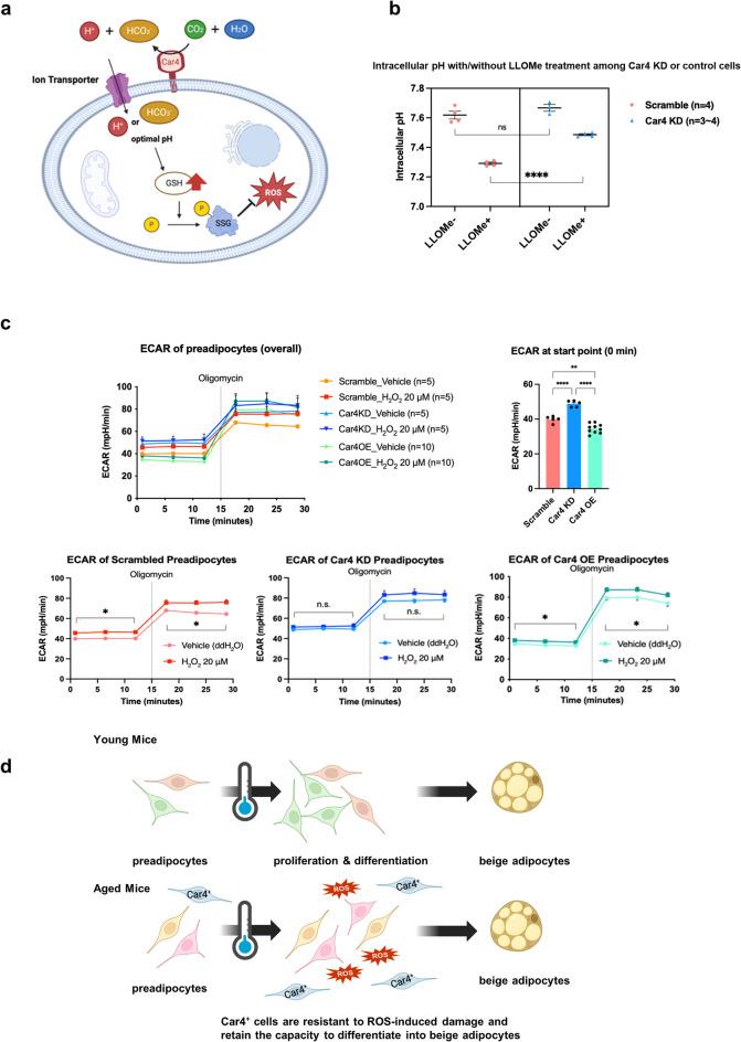 https://cdn.ncbi.nlm.nih.gov/pmc/blobs/e9ab/12397281/3512e01ca38e/41598_2025_17231_Fig5_HTML.jpg