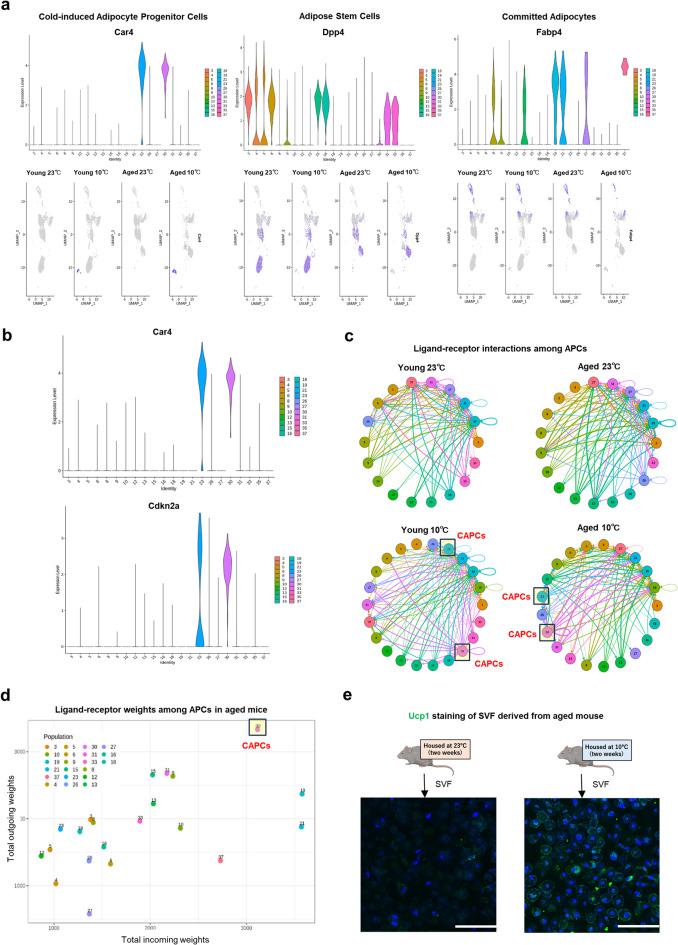 https://cdn.ncbi.nlm.nih.gov/pmc/blobs/e9ab/12397281/934e25df4a16/41598_2025_17231_Fig2_HTML.jpg